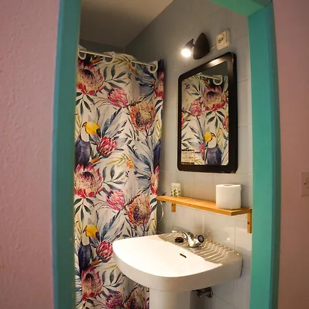 Cactus By Arenas * Salinas (Castrillon)