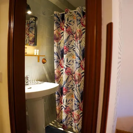 Cactus By Arenas Salinas (Castrillon)