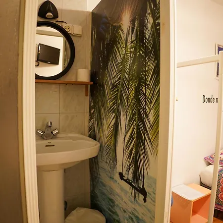 Cactus By Arenas * ساليناس