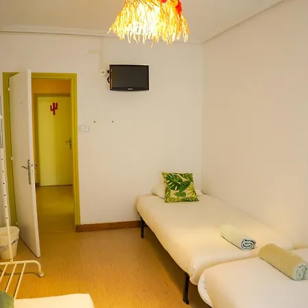 Cactus By Arenas ساليناس