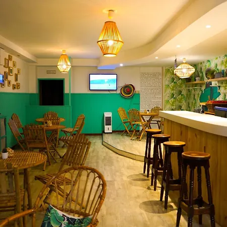 Cactus By Arenas ساليناس